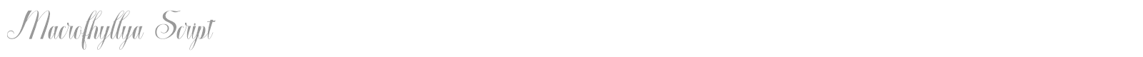 Macrofhyllya Script font preview